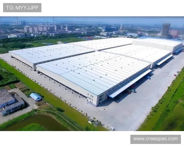 letou 国际在全球市场的布局策略与未来发展前景展望