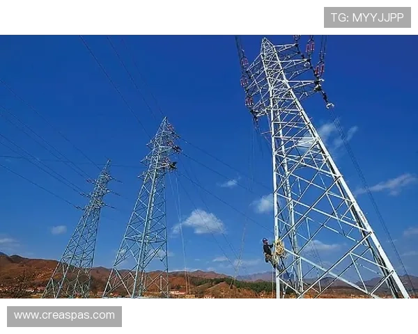 乐投瑞丰线路检测技术在高压输电线路中的实际应用案例分析 乐投瑞丰线路检测技术在高压输电线路中的实际应用案例分析